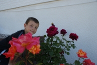 Billede 5
