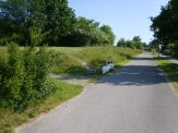 Billede 51