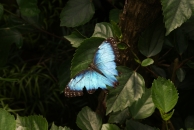 Billede 24