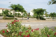 Billede 58