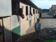 Billede 10